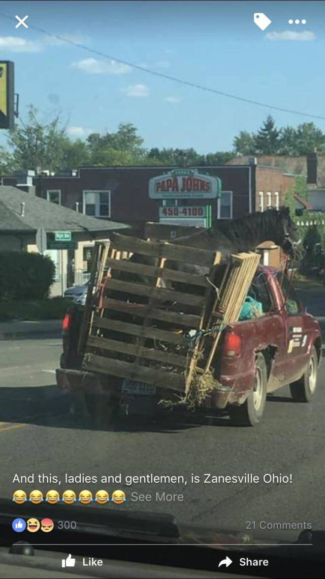 Morning Picdump