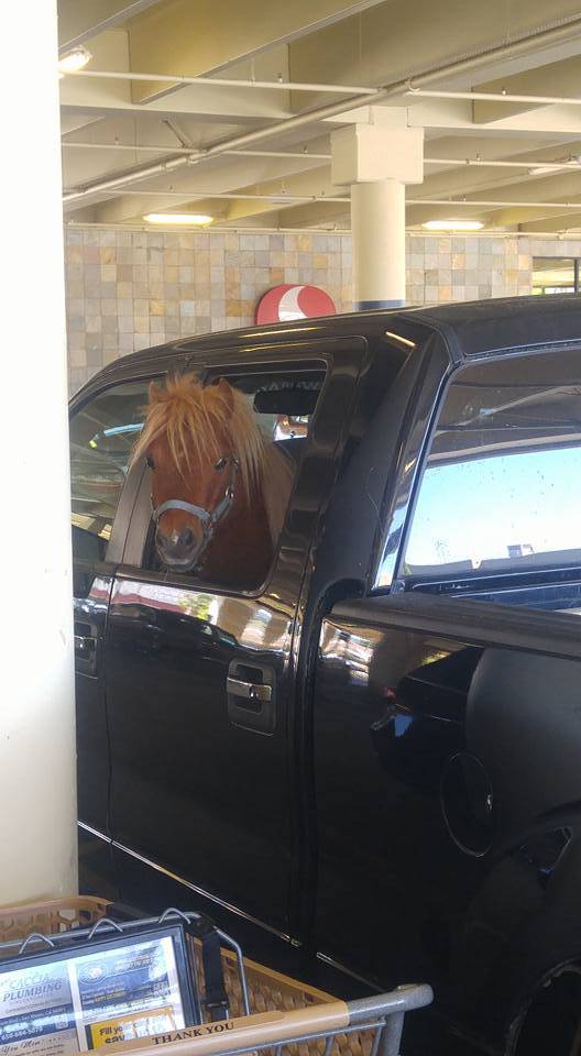 Morning Picdump