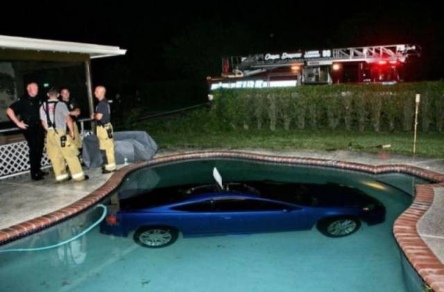 daily picdump 99 pics 49.html - 99 HD Photos | Premium Gallery 2017