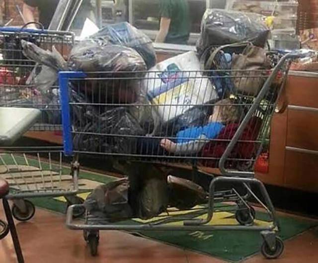 daily picdump 99 pics 49.html - 99 HD Photos | Premium Gallery 2017