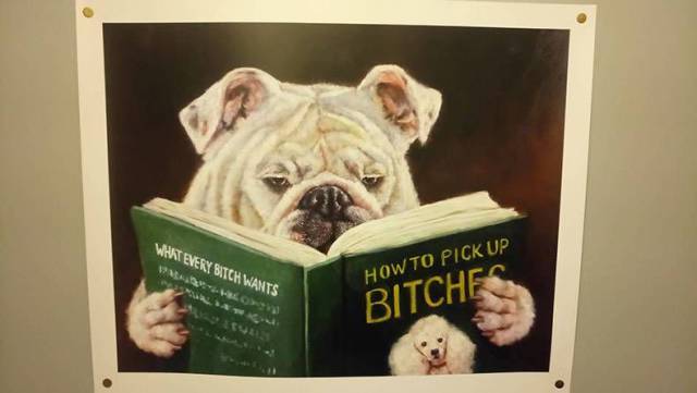 daily picdump 99 pics 49.html - 99 HD Photos | Premium Gallery 2017