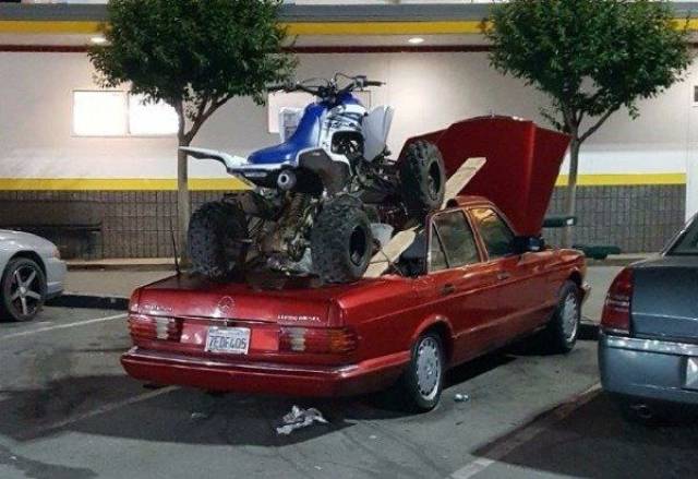 daily picdump 99 pics 49.html - 99 HD Photos | Premium Gallery 2017