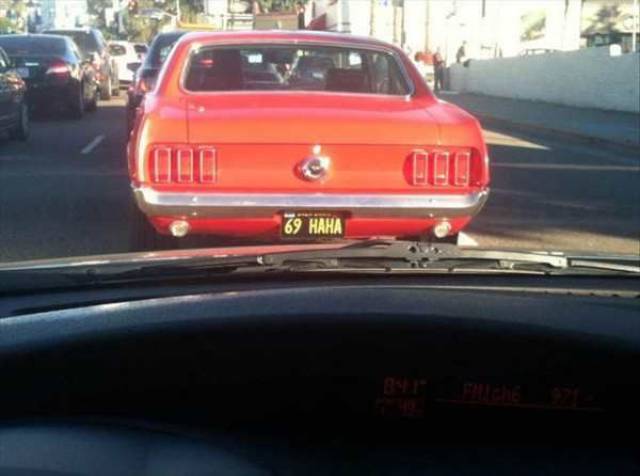 daily picdump 99 pics 49.html - 99 HD Photos | Premium Gallery 2017