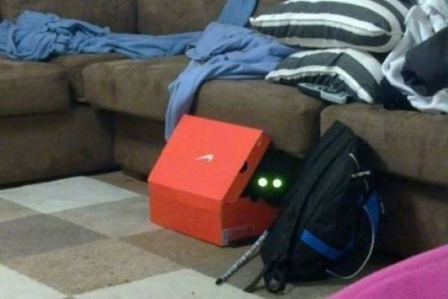 daily picdump 99 pics 49.html - 99 HD Photos | Premium Gallery 2017