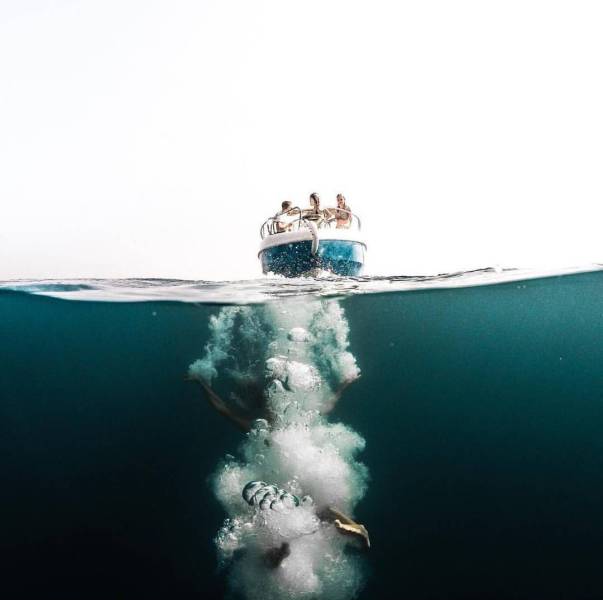 daily picdump 99 pics 49.html - 99 HD Photos | Premium Gallery 2017