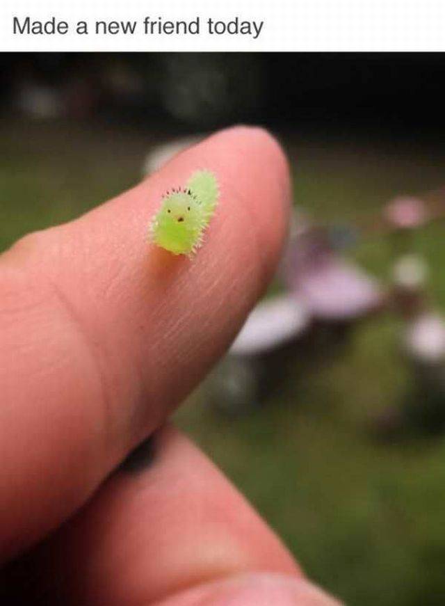 daily picdump 99 pics 49.html - 99 HD Photos | Premium Gallery 2017