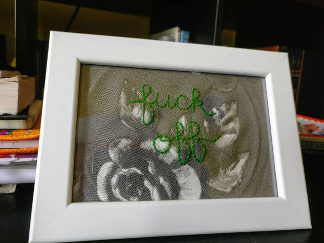 morning picdump 50 pics 3.html - 50 HD Photos | Premium Gallery 2017