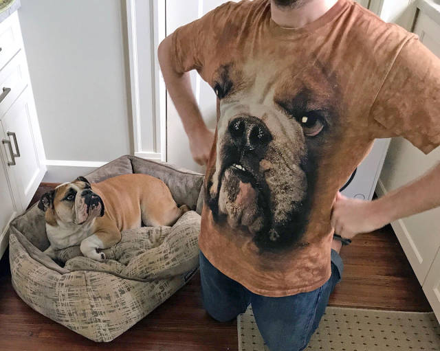 morning picdump 50 pics 3.html - 50 HD Photos | Premium Gallery 2017