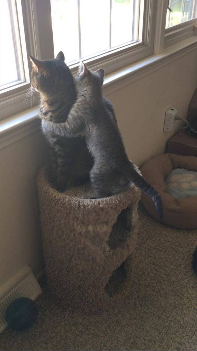 morning picdump 50 pics 3.html - 50 HD Photos | Premium Gallery 2017