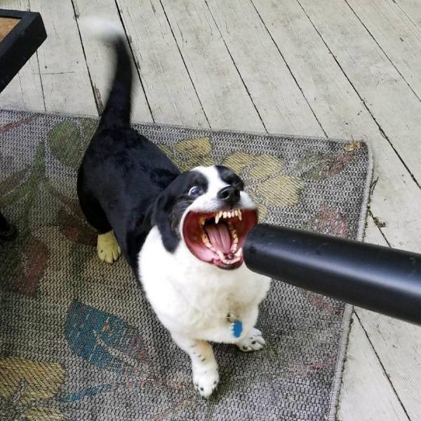 daily picdump 100 pics 38.html - 100 HD Photos | Premium Gallery 2017