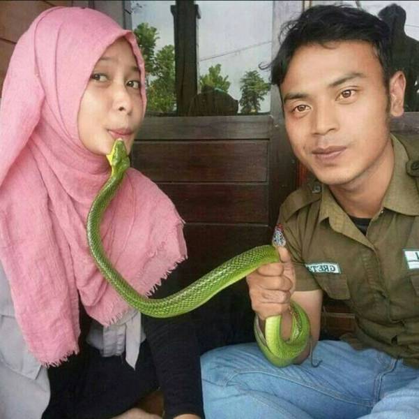 daily picdump 100 pics 38.html - 100 HD Photos | Premium Gallery 2017