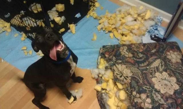 daily picdump 100 pics 38.html - 100 HD Photos | Premium Gallery 2017