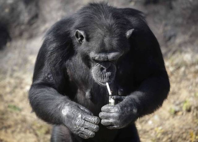 daily picdump 100 pics 38.html - 100 HD Photos | Premium Gallery 2017