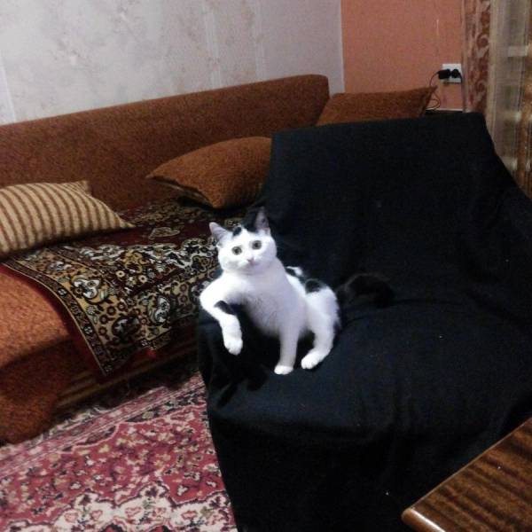 daily picdump 100 pics 38.html - 100 HD Photos | Premium Gallery 2017