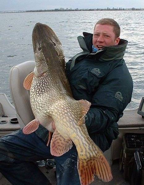 daily picdump 100 pics 38.html - 100 HD Photos | Premium Gallery 2017