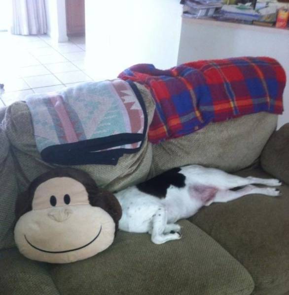 daily picdump 100 pics 38.html - 100 HD Photos | Premium Gallery 2017