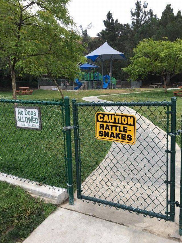 daily picdump 100 pics 38.html - 100 HD Photos | Premium Gallery 2017