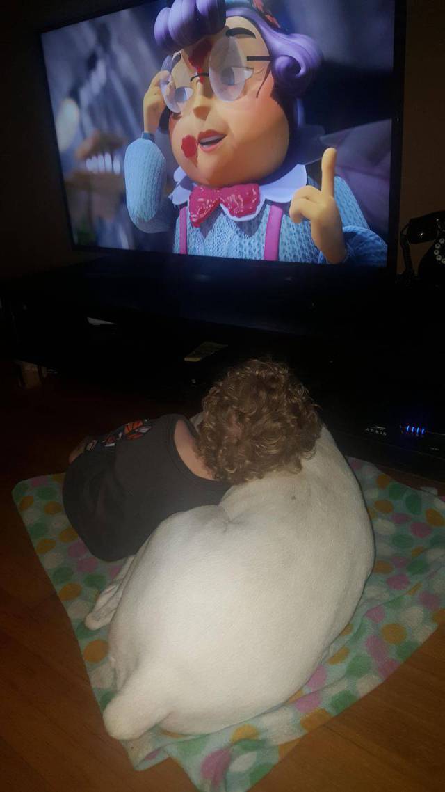 daily picdump 100 pics 38.html - 100 HD Photos | Premium Gallery 2017