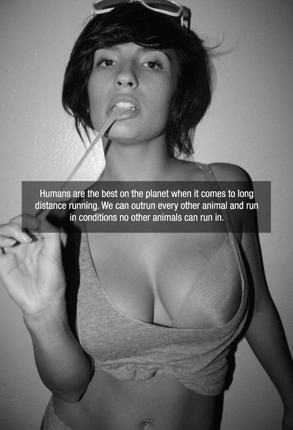 Facts are Best Served with Hot Chicks