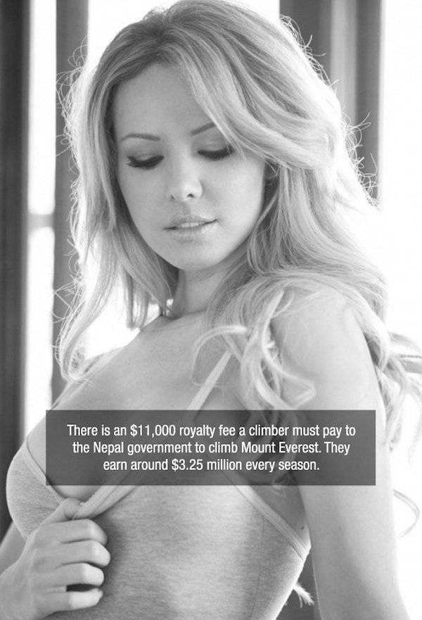 Facts are Best Served with Hot Chicks