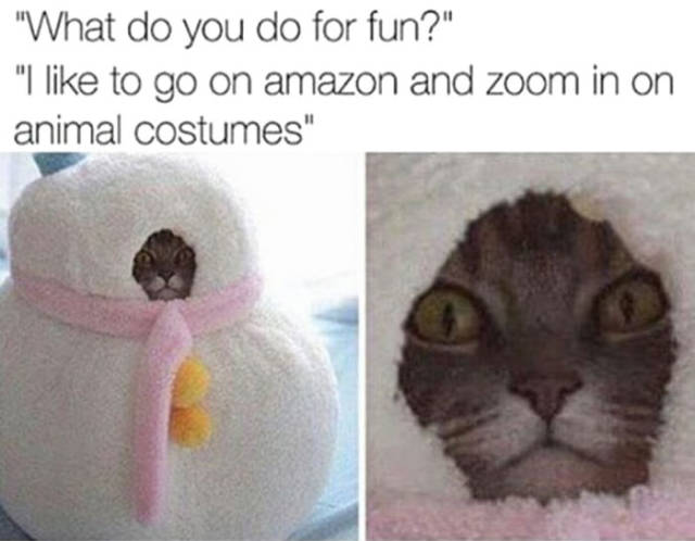 funny picdump 51 pics 19.html - 51 HD Photos | Premium Gallery 2017