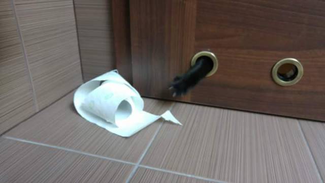 morning picdump 52 pics 2.html - 52 HD Photos | Premium Gallery 2017