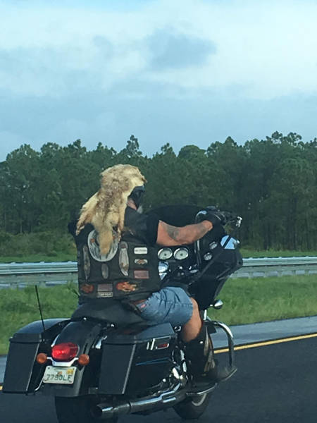 morning picdump 52 pics 2.html - 52 HD Photos | Premium Gallery 2017