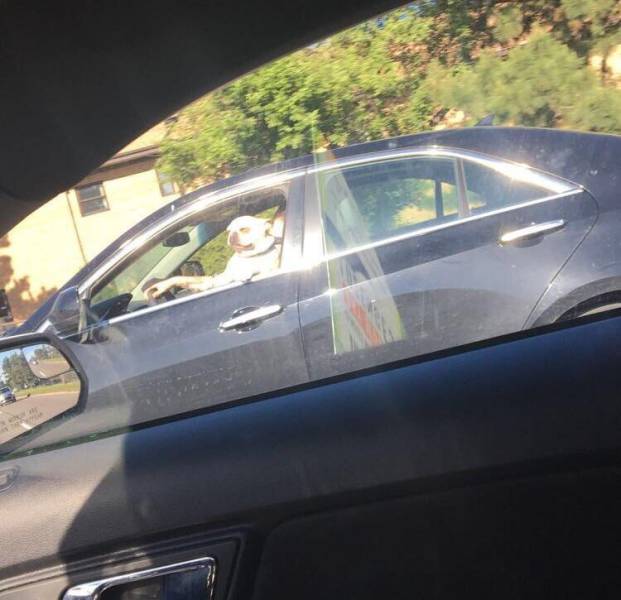 morning picdump 52 pics 2.html - 52 HD Photos | Premium Gallery 2017