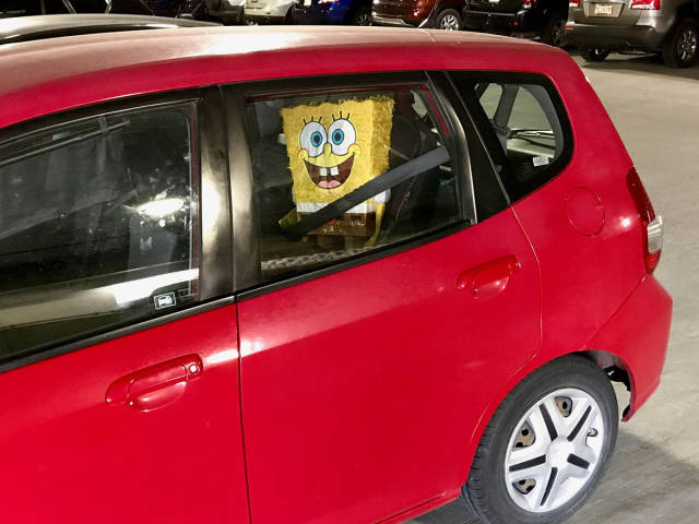 morning picdump 52 pics 2.html - 52 HD Photos | Premium Gallery 2017