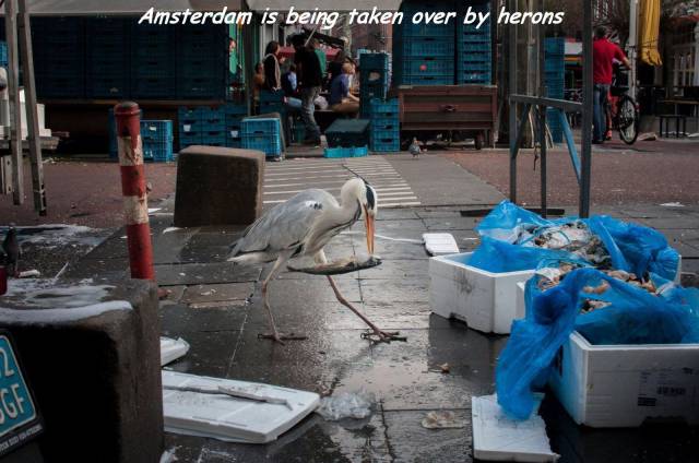 daily picdump 96 pics 2.html - 96 HD Photos | Premium Gallery 2017