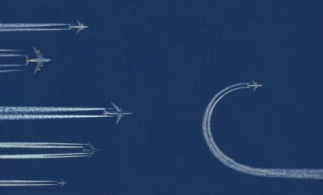 daily picdump 96 pics 2.html - 96 HD Photos | Premium Gallery 2017