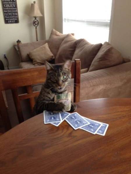 daily picdump 96 pics 2.html - 96 HD Photos | Premium Gallery 2017