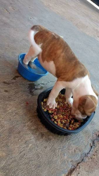 daily picdump 96 pics 2.html - 96 HD Photos | Premium Gallery 2017