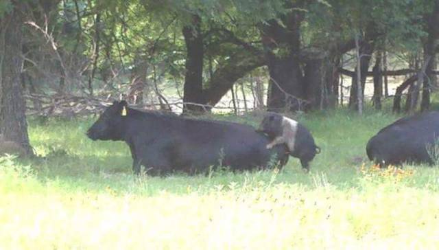 daily picdump 96 pics 2.html - 96 HD Photos | Premium Gallery 2017