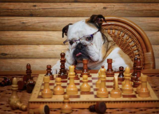 daily picdump 96 pics 2.html - 96 HD Photos | Premium Gallery 2017