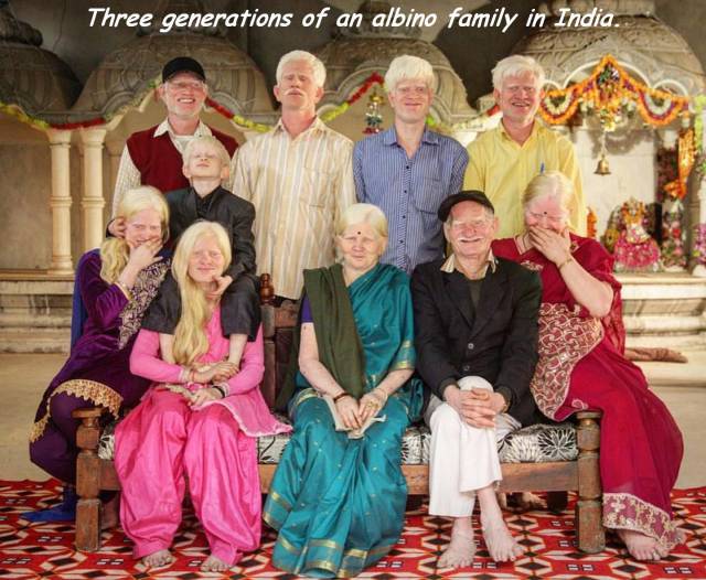 daily picdump 96 pics 2.html - 96 HD Photos | Premium Gallery 2017