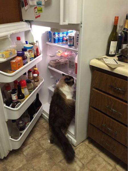 daily picdump 96 pics 2.html - 96 HD Photos | Premium Gallery 2017