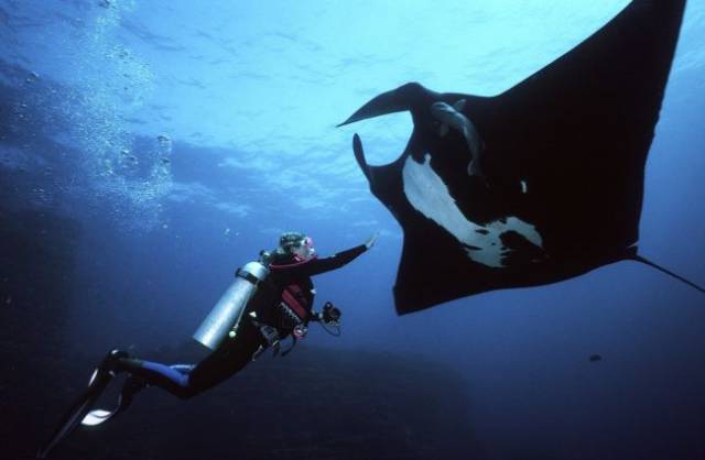 daily picdump 96 pics 2.html - 96 HD Photos | Premium Gallery 2017