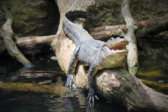 daily picdump 96 pics 2.html - 96 HD Photos | Premium Gallery 2017