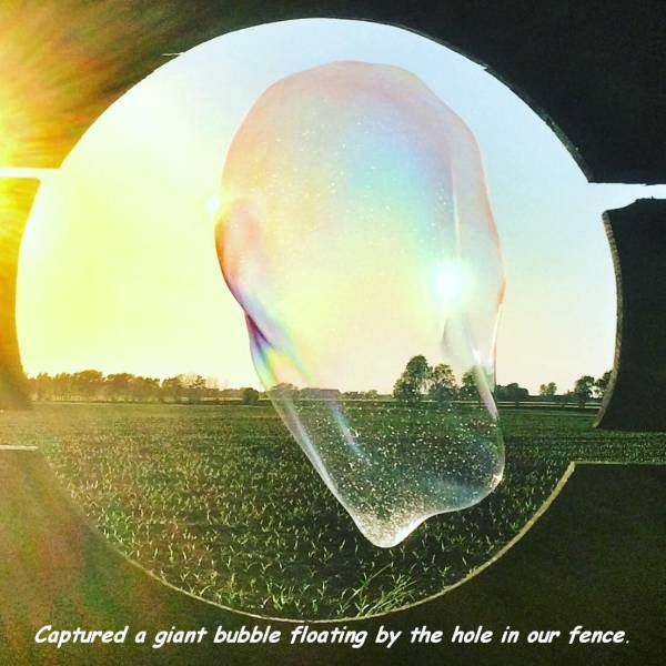 daily picdump 96 pics 2.html - 96 HD Photos | Premium Gallery 2017