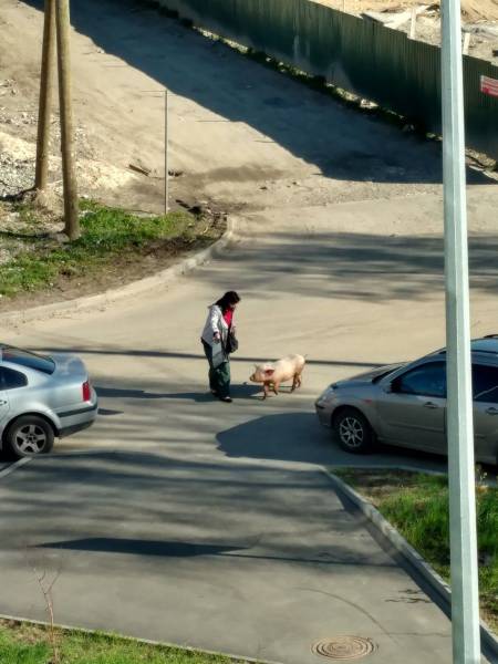 daily picdump 96 pics 2.html - 96 HD Photos | Premium Gallery 2017