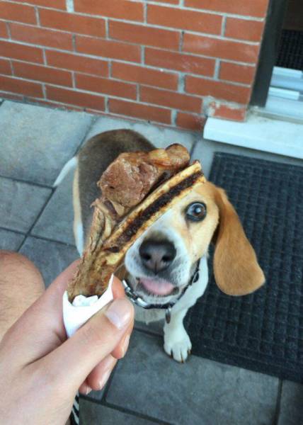 daily picdump 96 pics 2.html - 96 HD Photos | Premium Gallery 2017