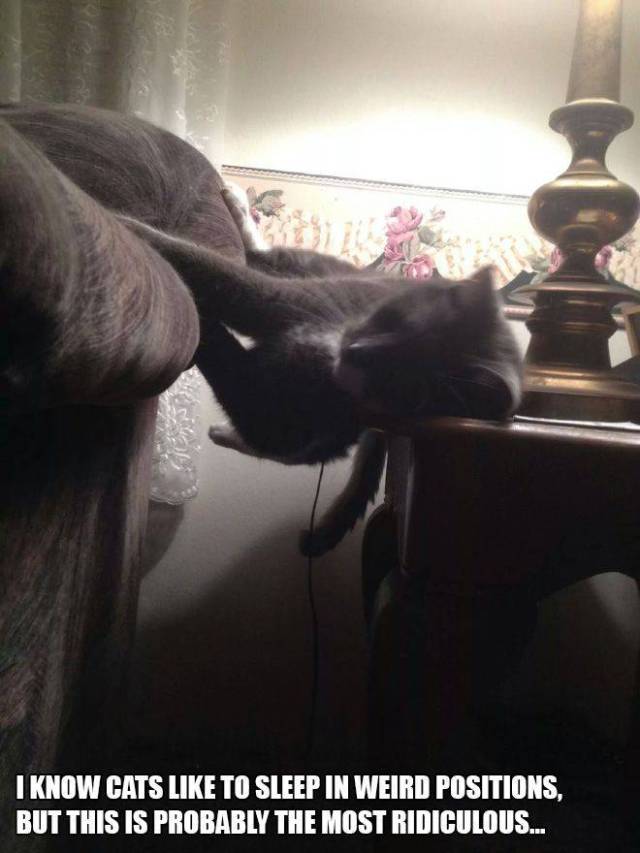 daily picdump 96 pics 2.html - 96 HD Photos | Premium Gallery 2017