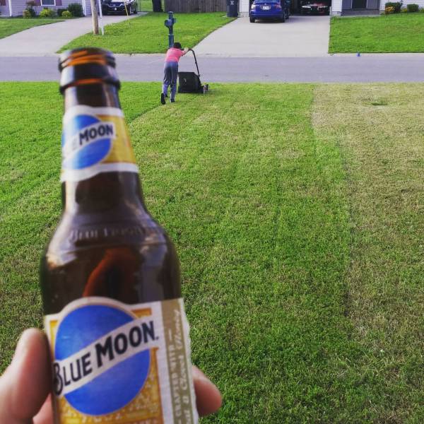 Daily Picdump [WEEKEND EDITION]