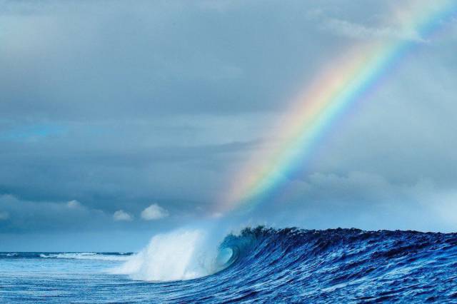 daily picdump weekend edition 74 pics 5.html - 74 HD Photos | Premium Gallery 2017