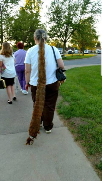 daily picdump weekend edition 74 pics 5.html - 74 HD Photos | Premium Gallery 2017