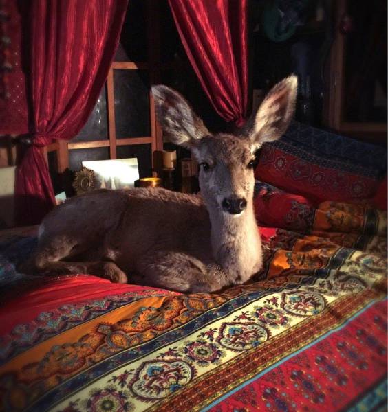 daily picdump weekend edition 74 pics 5.html - 74 HD Photos | Premium Gallery 2017