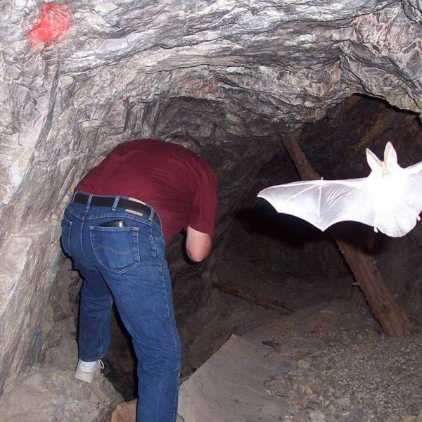 daily picdump weekend edition 74 pics 5.html - 74 HD Photos | Premium Gallery 2017