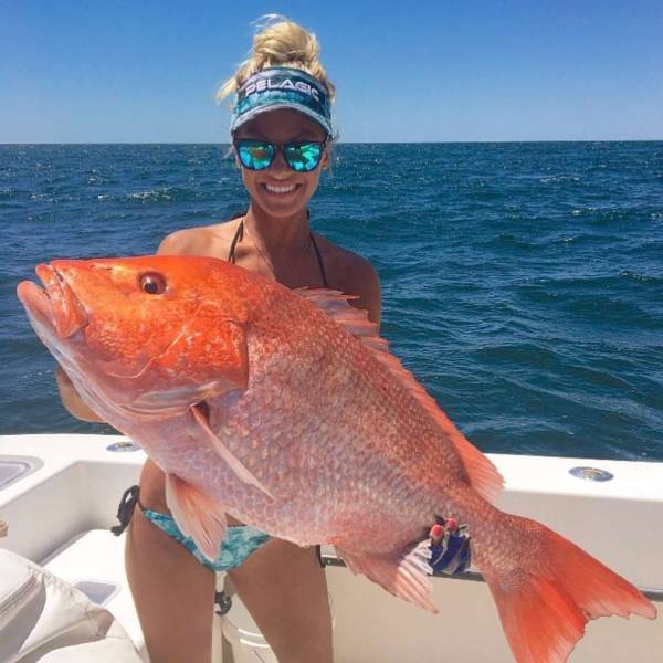 daily picdump weekend edition 74 pics 5.html - 74 HD Photos | Premium Gallery 2017