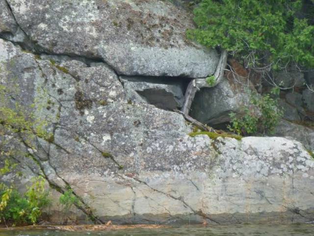 daily picdump weekend edition 74 pics 5.html - 74 HD Photos | Premium Gallery 2017